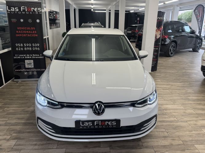 VOLKSWAGENGOLF VIII eTSI 1.0 TSI 110CV